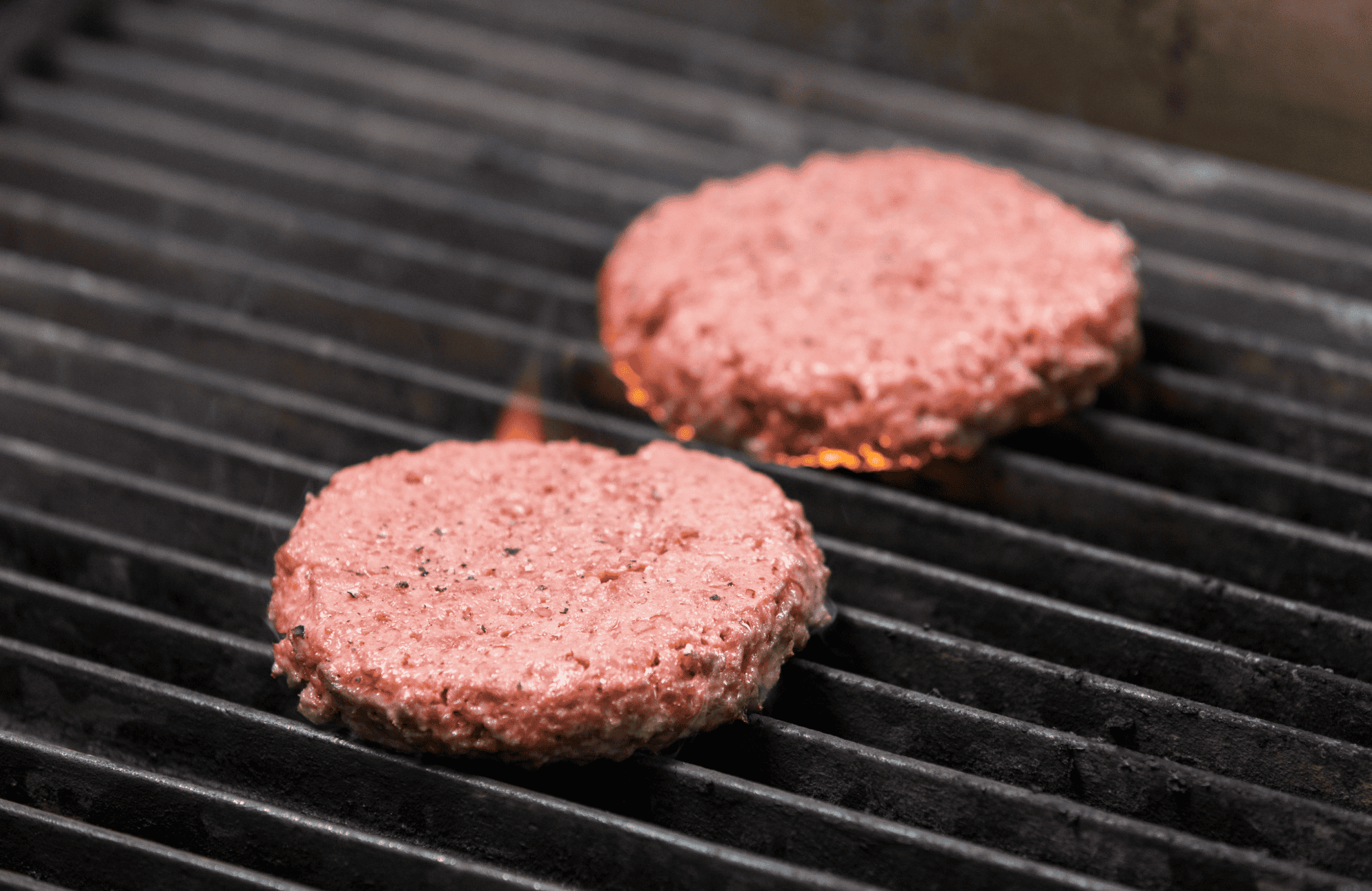 Plant Based Meat Patties